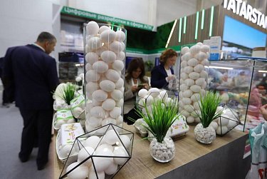 Парламентарии на «Золотой осени»